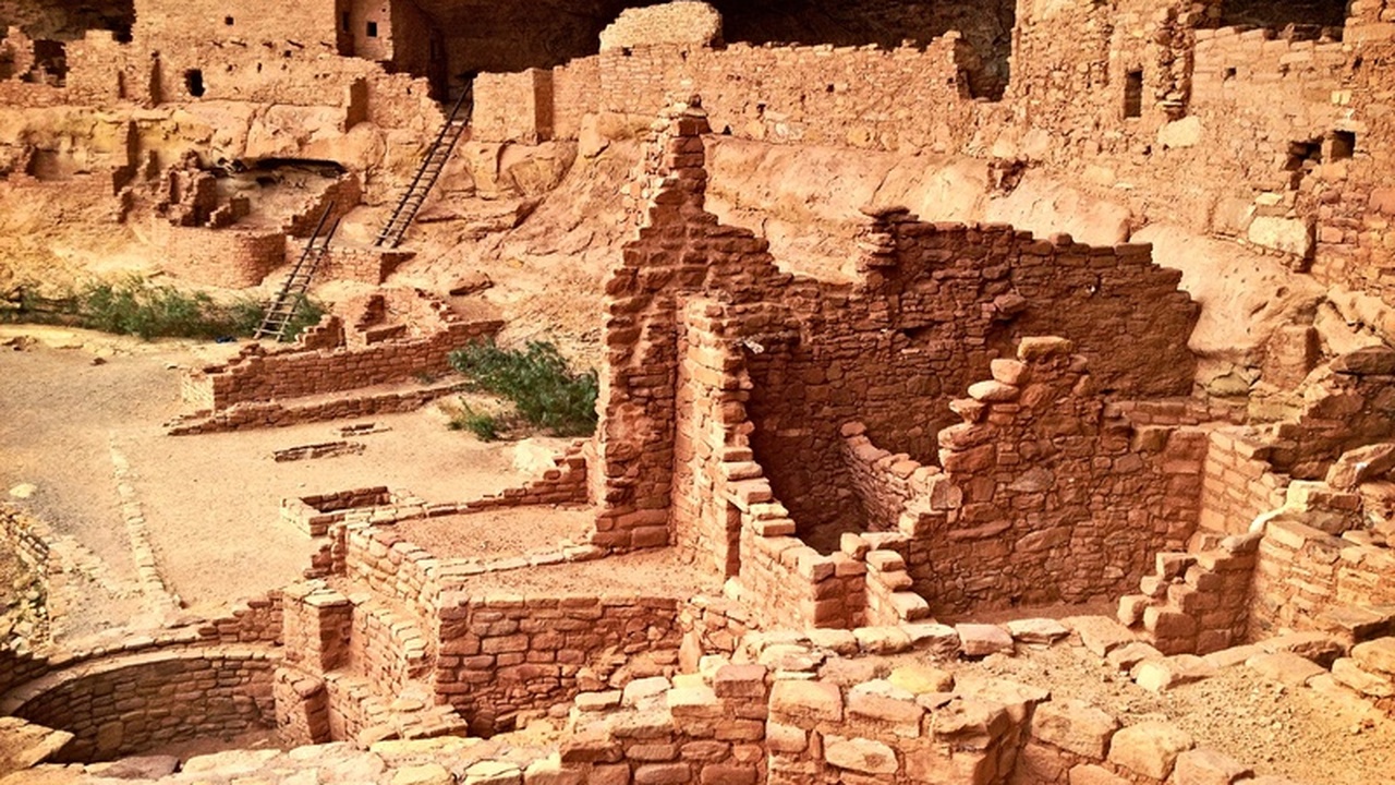 Новые палеонтологические находки в Австралии пе...