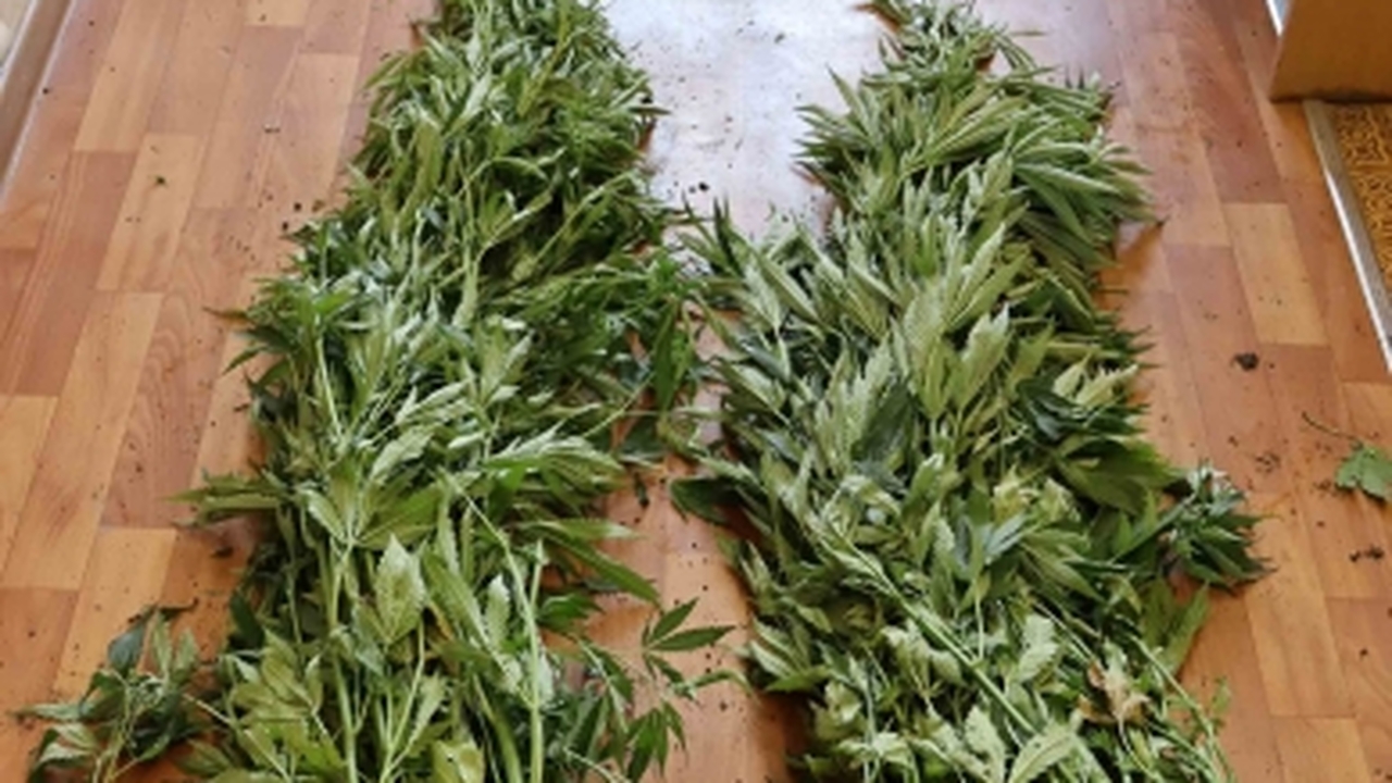 В Садовском сельском поселении Новоспасского ра...