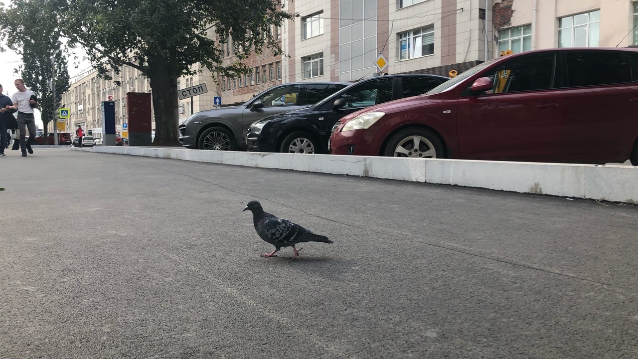 В Ульяновской области обновляют дороги в рамках нацпроекта В Ульяновской области продолжается активная раб...