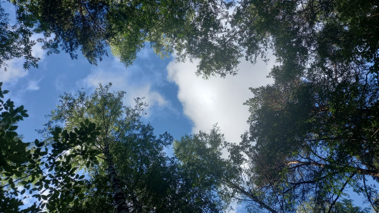 В Ульяновске произошло 26 инцидентов с падением...