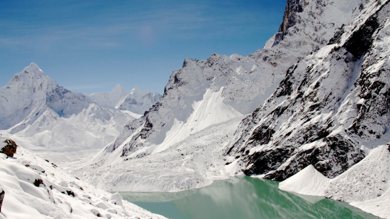 Ученые зафиксировали стремительное сокращение л...