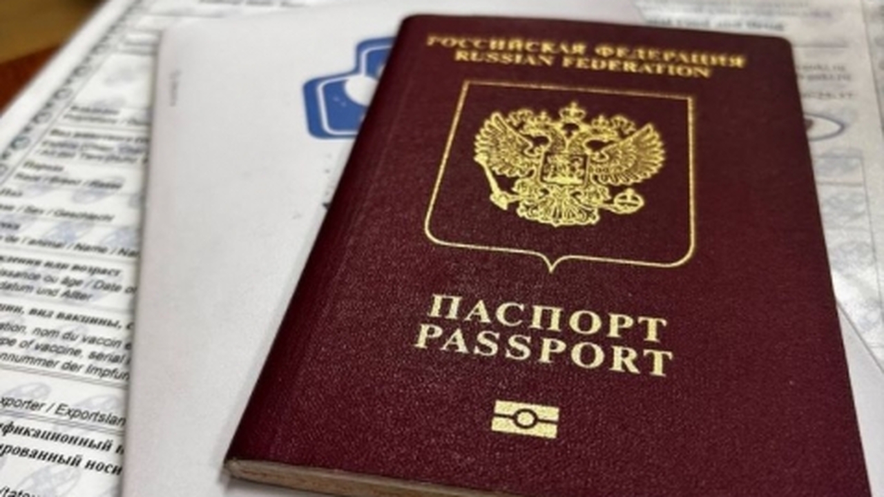 Домашние питомцы из Ульяновской области нашли новый дом за рубежом За прошедший год жители Ульяновской области усп...