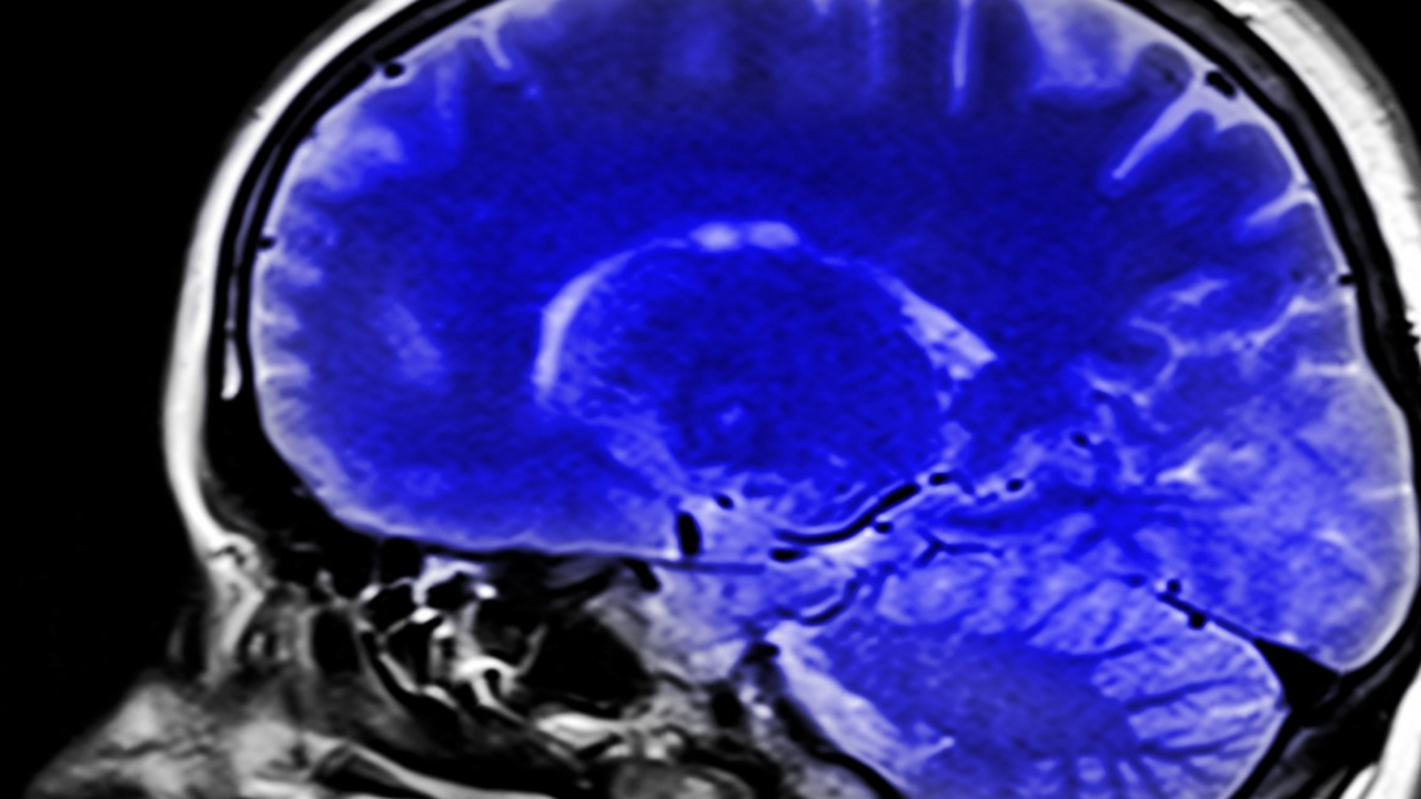 Учёные Массачусетского технологического институ...