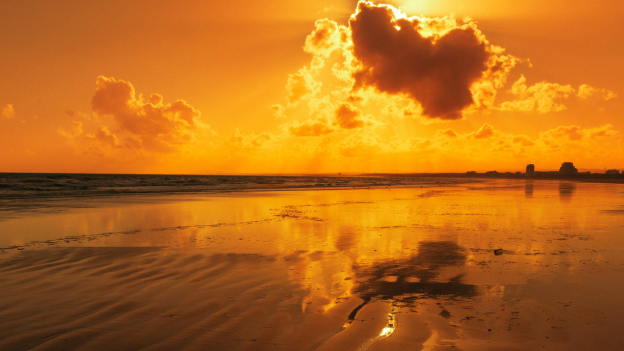 Астрономы установили, что Солнце сформировалось...