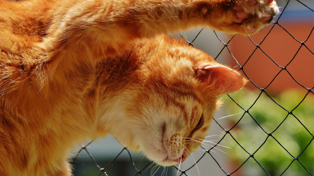 Исследователи Венского университета обнаружили ...