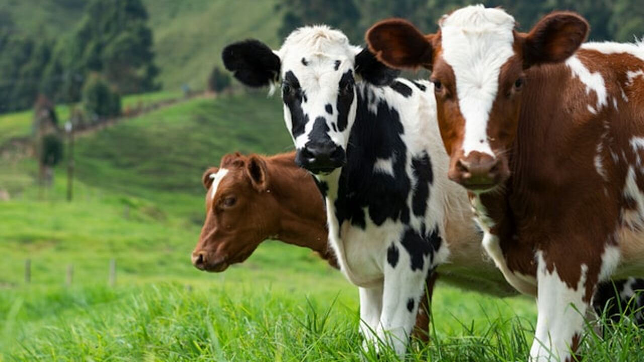 На прошлой неделе в Ульяновской области средний...