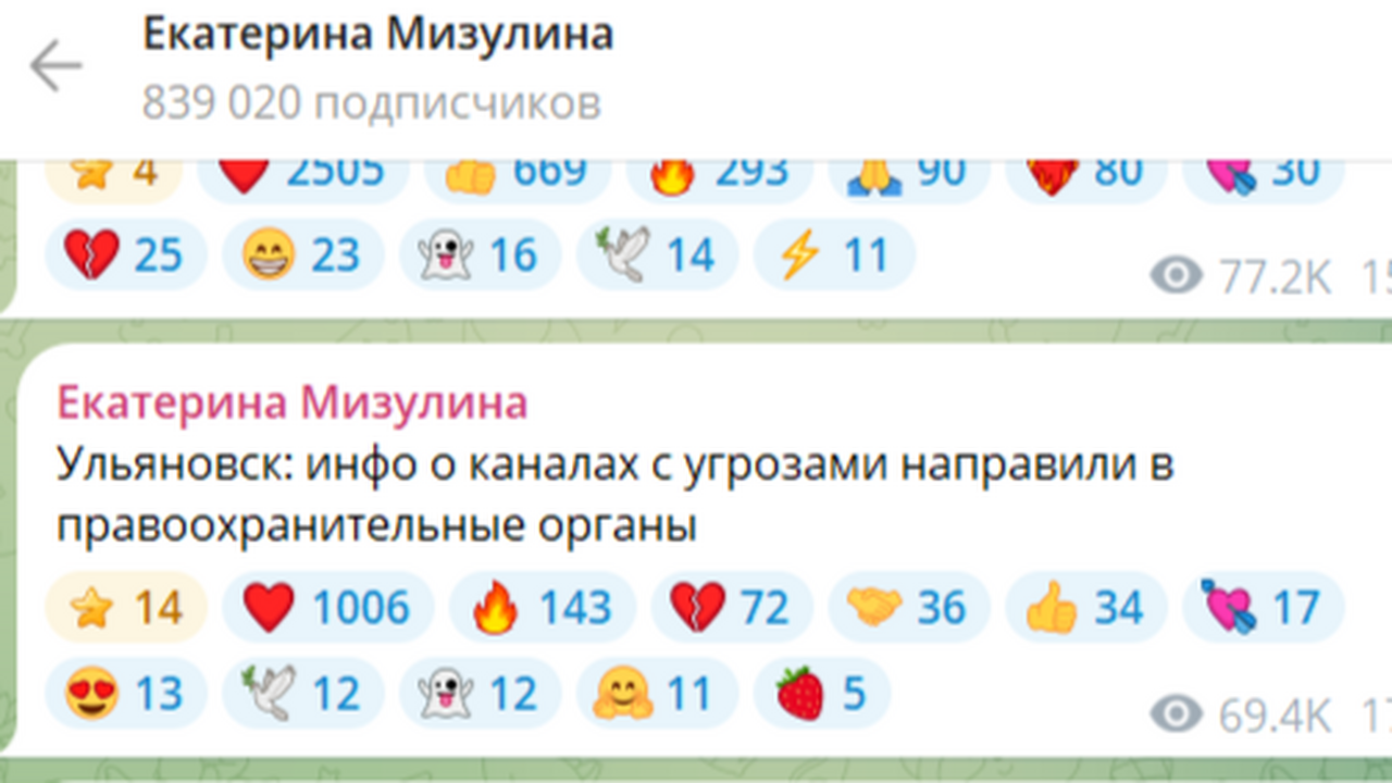 Екатерина Мизулина, возглавляющая Лигу безопасн...