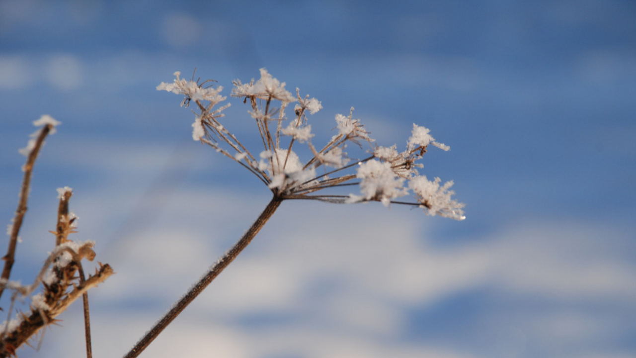 Синоптики прогнозируют резкое похолодание в цен...