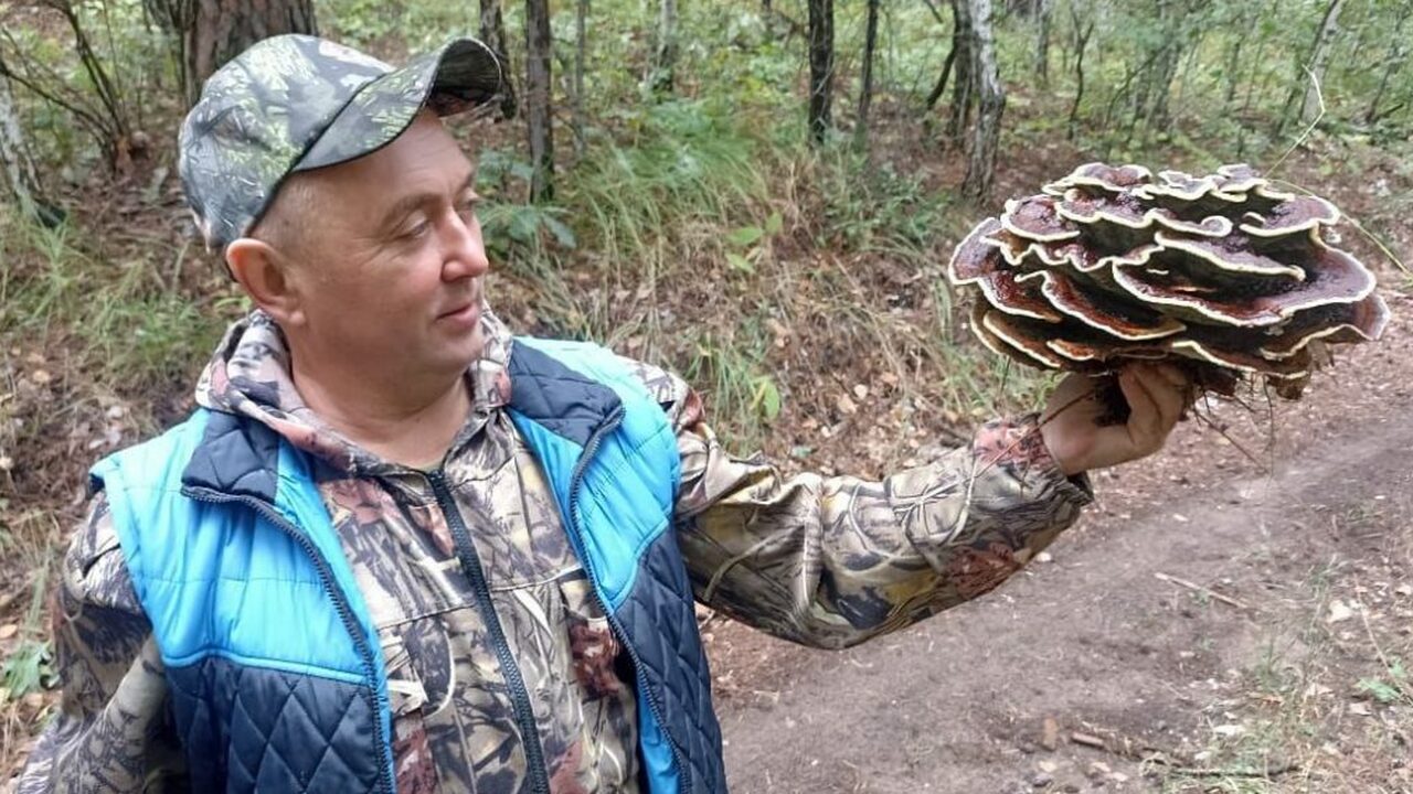В самом сердце Ульяновской области, на территор...