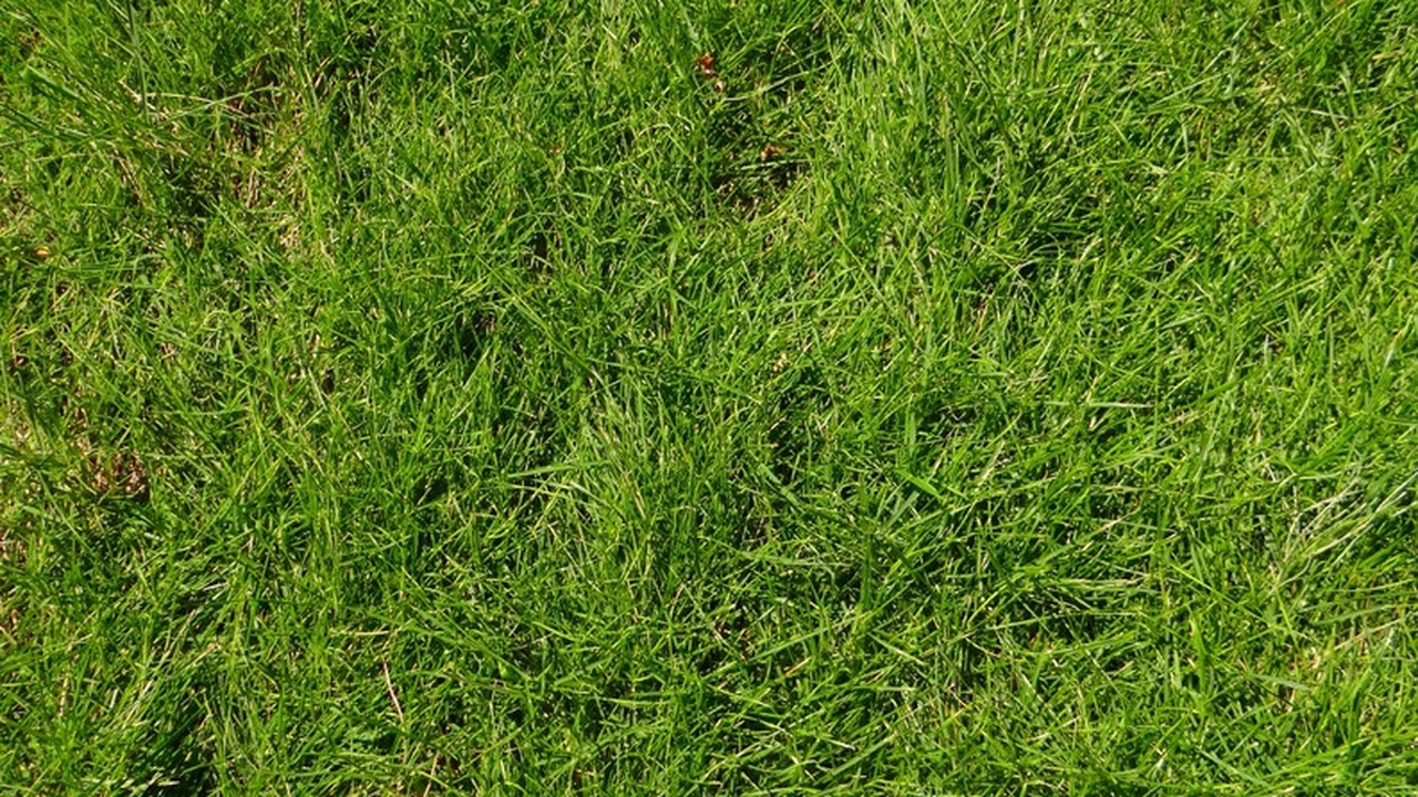 В Ульяновске подвели итоги работы по борьбе с к...