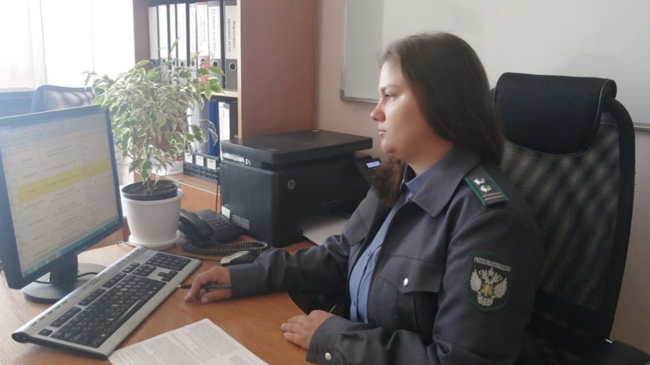 В Ульяновской области пресекли масштабную онлайн-торговлю поддельными ветпрепаратами В Ульяновской области развернулась насто...