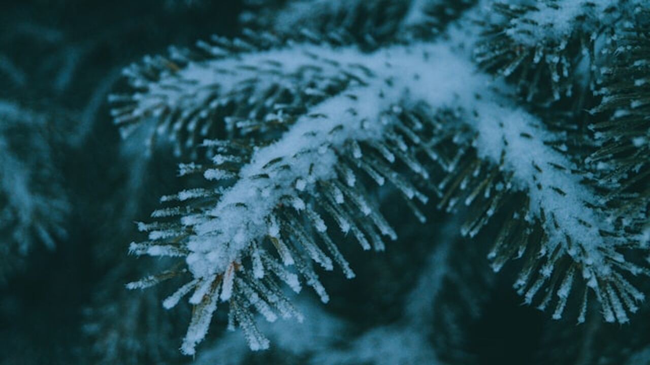 По прогнозу регионального гидрометцентра, 2 мар...