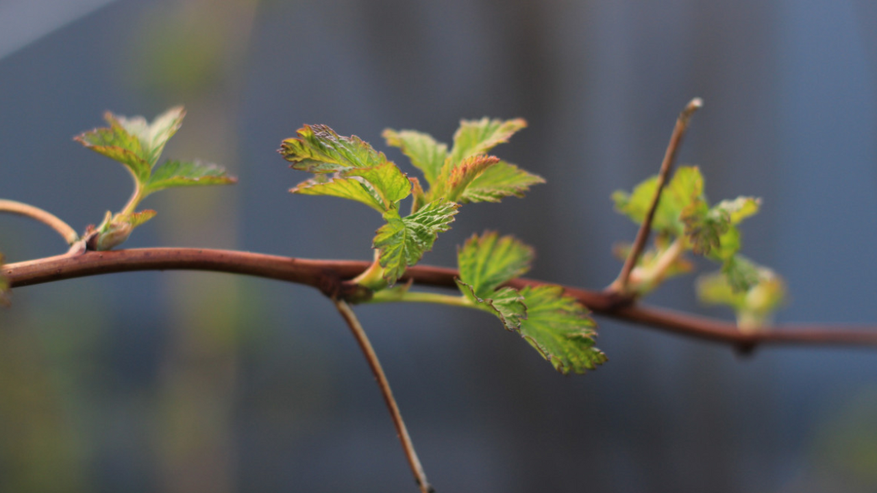 Синоптики и климатологи предупреждают, что ныне...