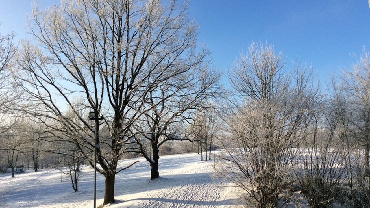 Астрологи назвали самый мстительный знак зодиака: таких людей лучше обходить стороной Астрологические наблюдения выявили, что среди п...