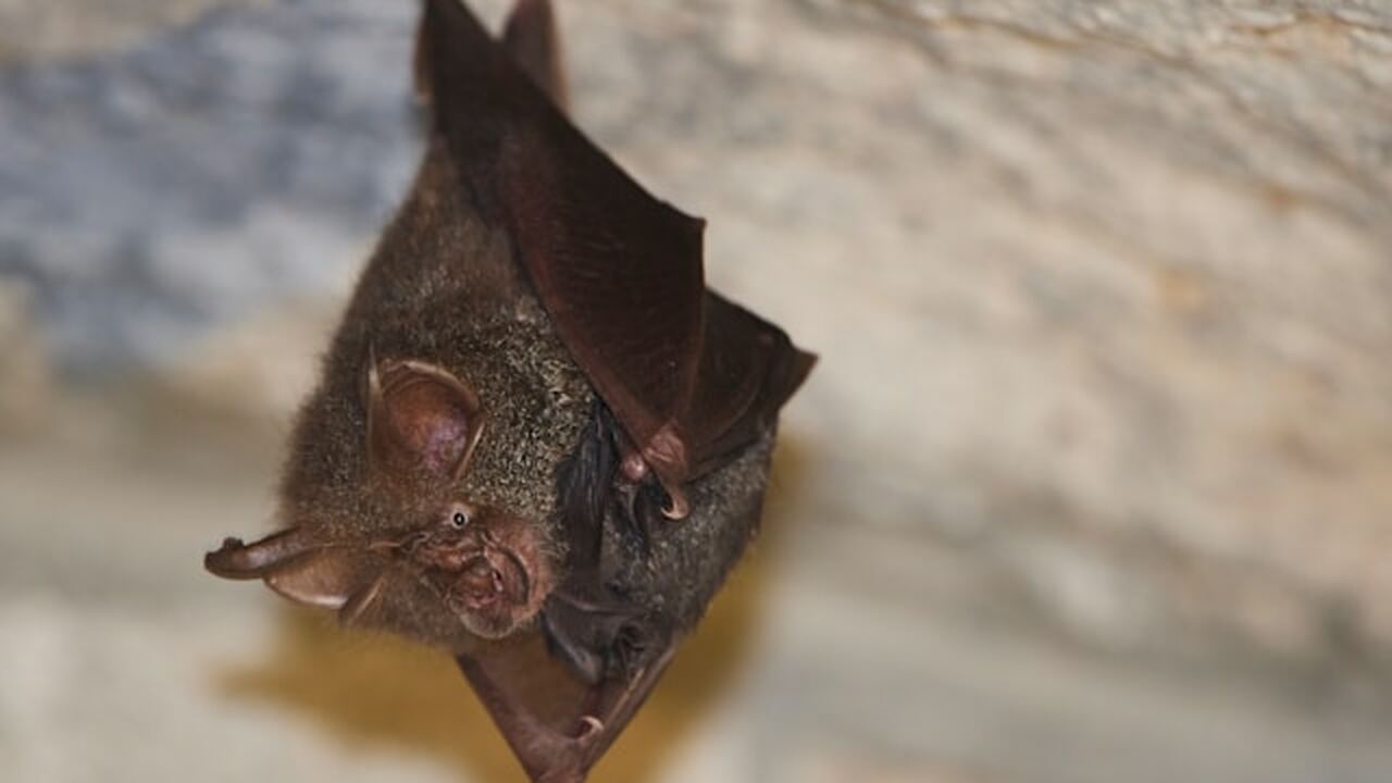 Международная группа исследователей выявила у л...