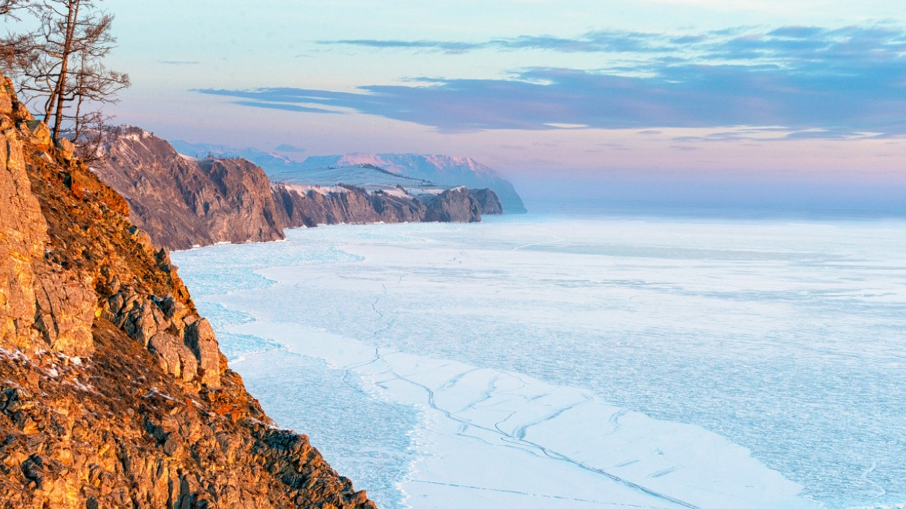Российские учёные обнаружили в планктоне Байкал...