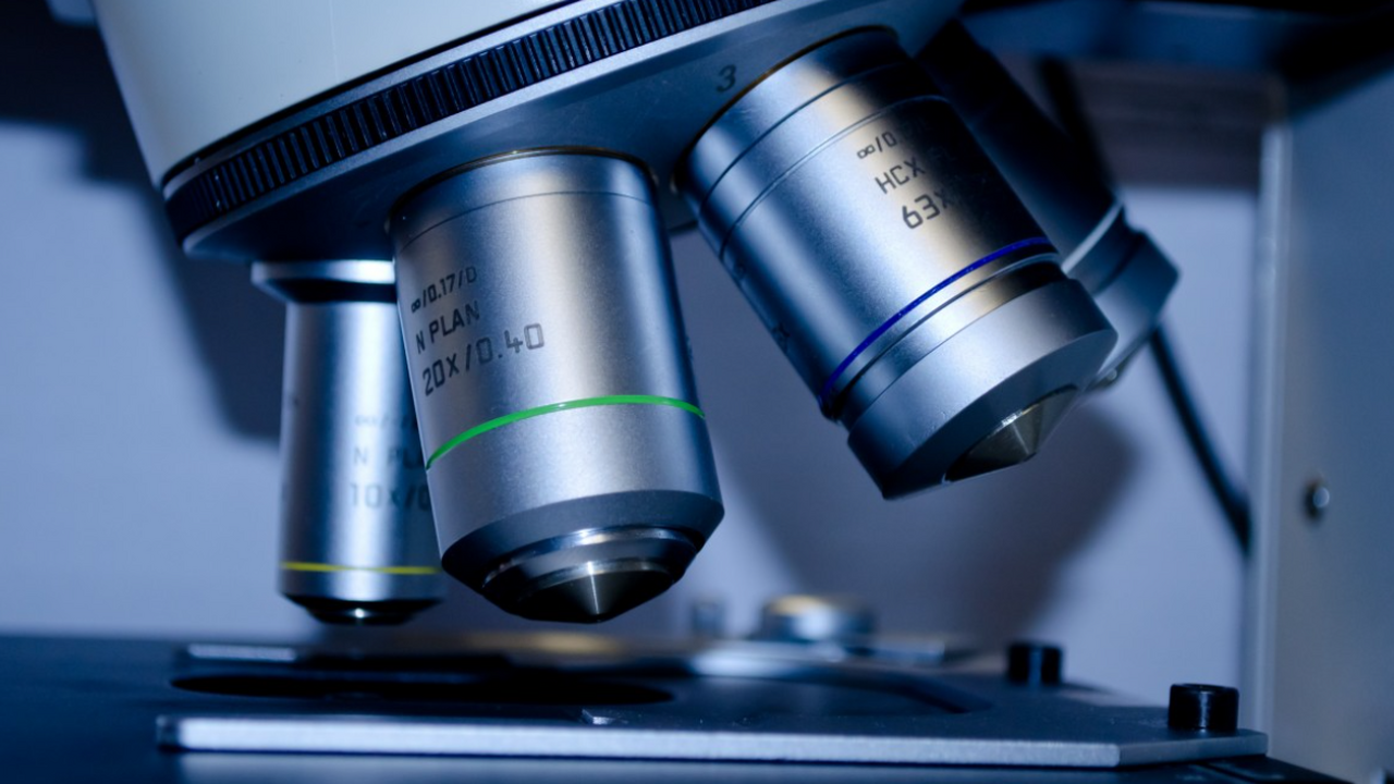 Ученые двигаются к созданию искусственных органов для продления жизни до 150 лет Мировая наука всё активнее ищет способы продлит...