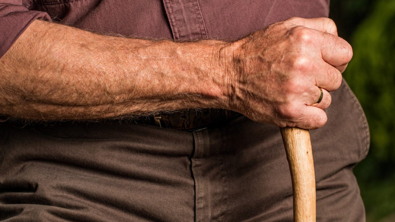 Пожилой мужчина отбил правнучку у похитительницы во время прогулки В США произошёл резонансный случай: пожилой муж...