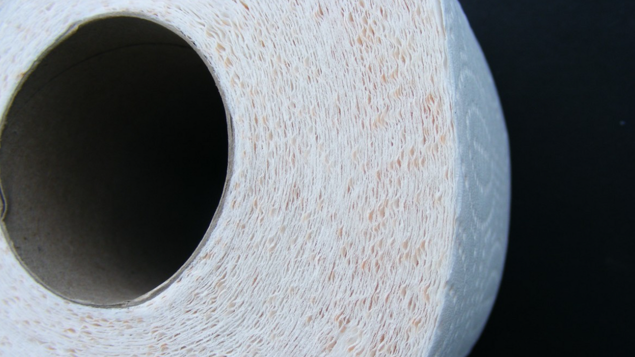 Попрощайтесь с туалетной бумагой: найдена эффективная замена — в Европе во всю используют, а мы только начинаем В России набирает обороты мировой тренд — отказ...