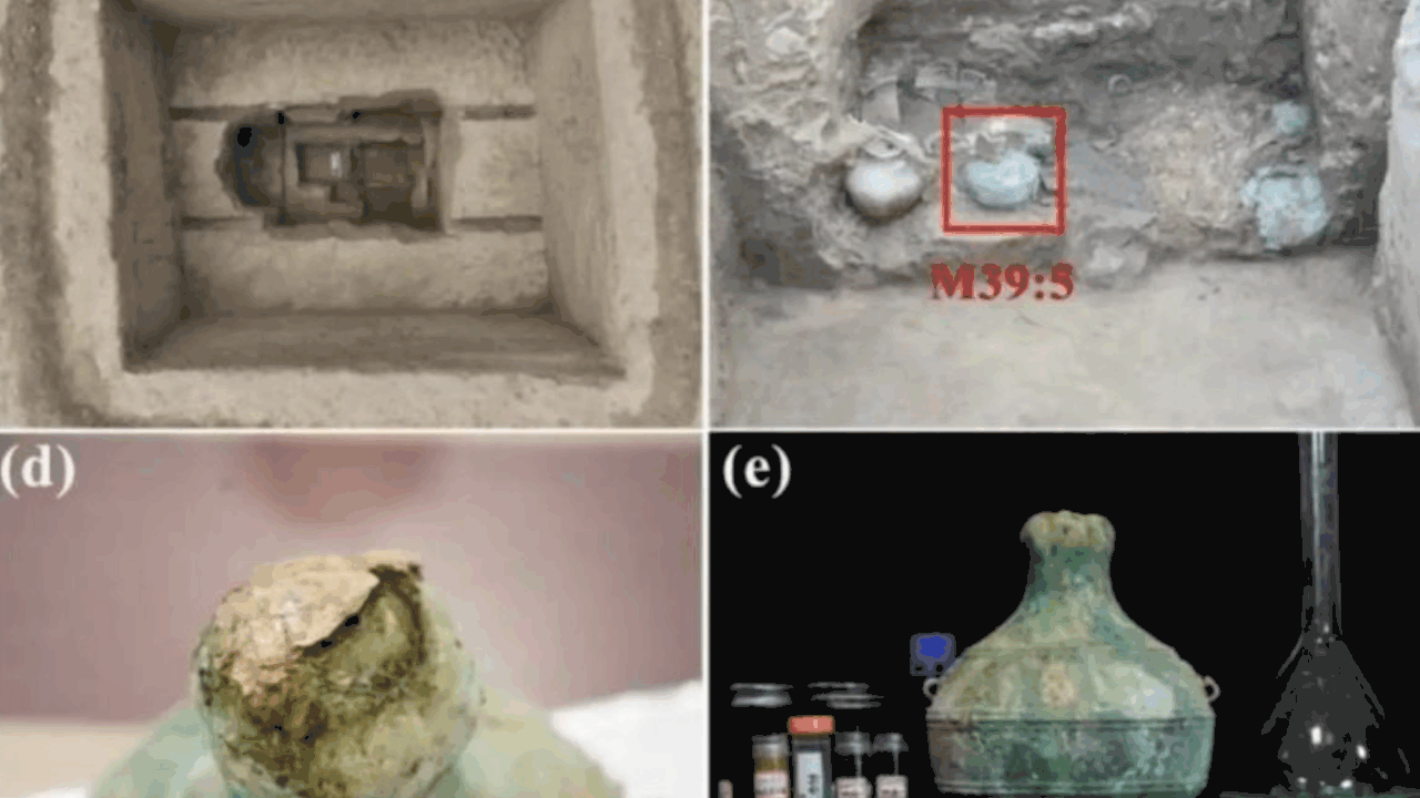 Международная группа исследователей изучила дре...