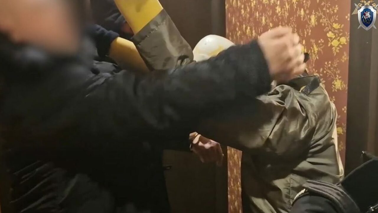 Следственные органы Ульяновской области сообщил...