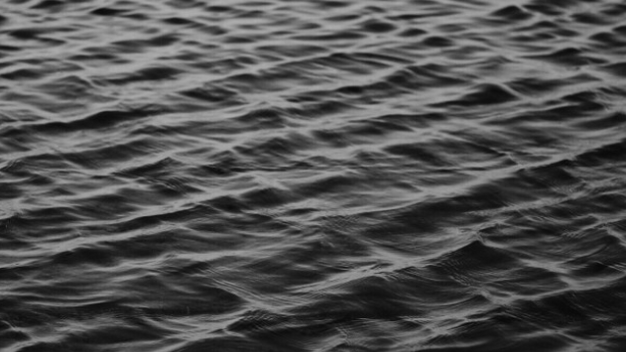 Завершилась экспедиция Южного научного центра Р...