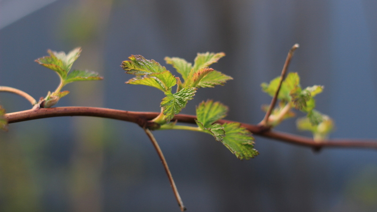 Российские метеорологи прогнозируют наступление...