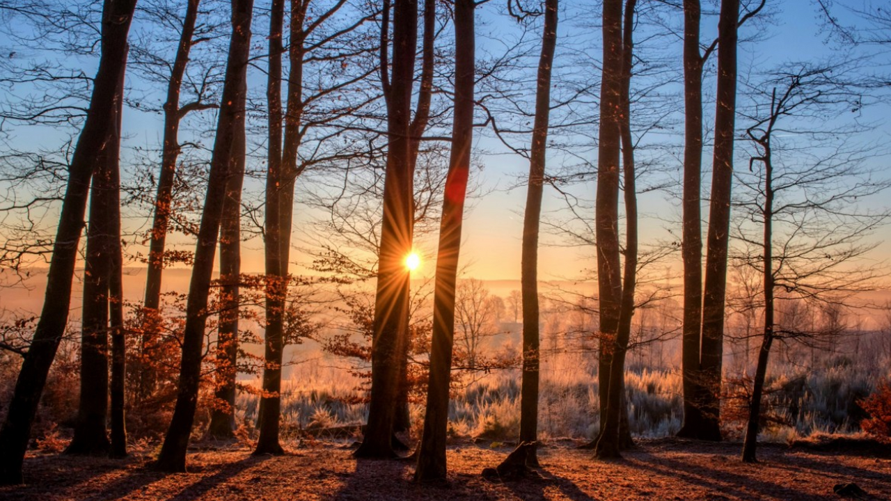 Гидрометцентр пообещал россиянам "нервную" зиму: подробный прогноз на 3 месяца Синоптики Гидрометцентра России прогнозируют, ч...