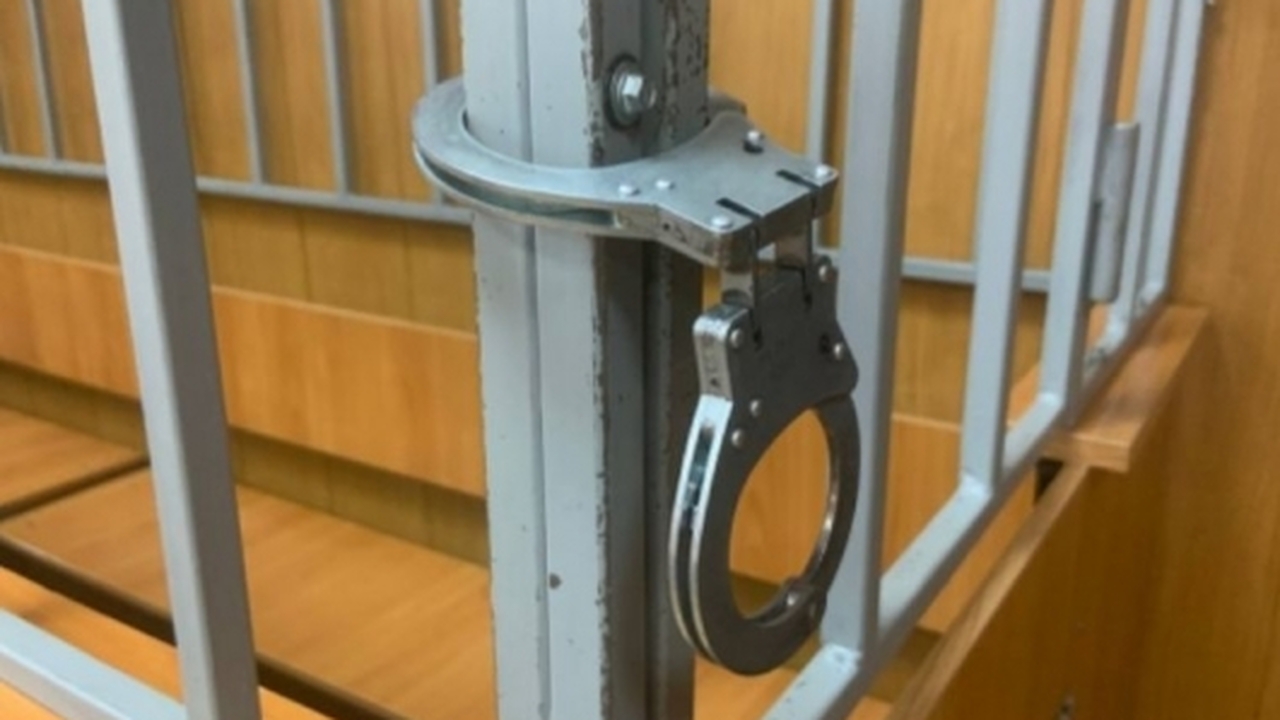 В Ульяновске правоохранители задержали 21-летню...