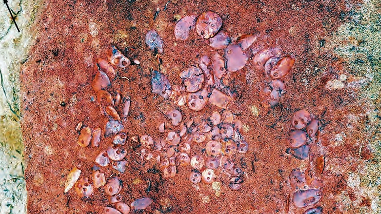 На берегу Онежского озера нашли "кровавую могилу" возрастом 5 тысяч лет Учёные Петрозаводского государственного универс...