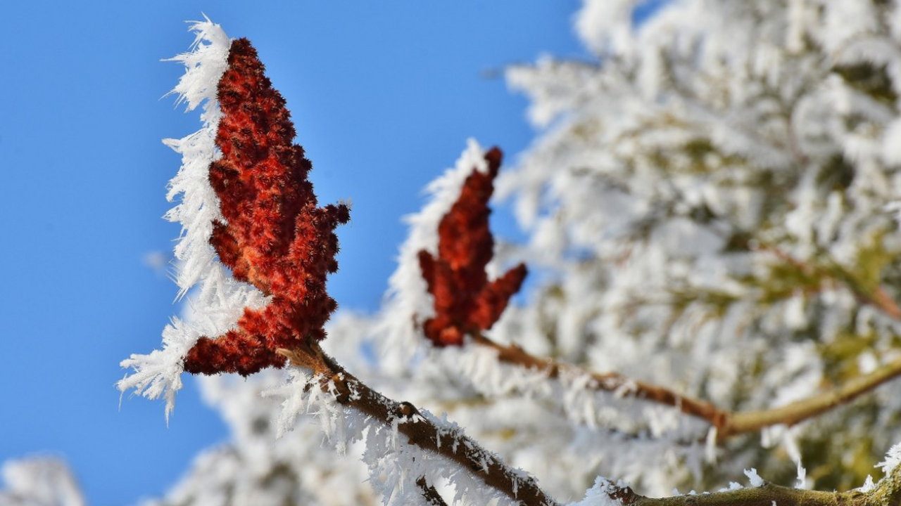 В выходные, 22 и 23 ноября, в России ожидается ...