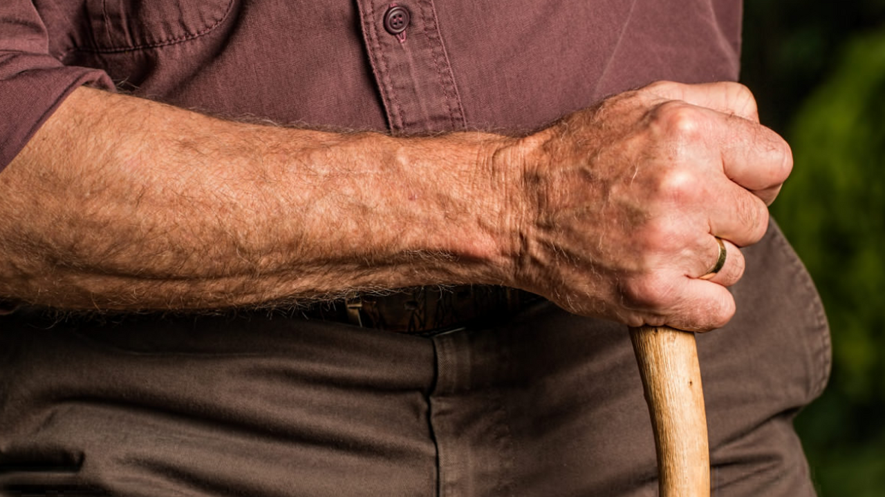 История разговора в больничной палате между пож...