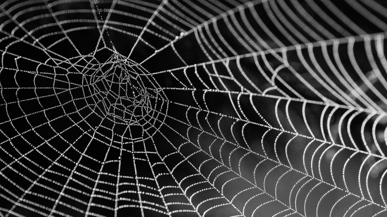 В пещере на границе Греции и Албании нашли самую большую паутину в мире Учёные обнаружили гигантскую паутину площадью б...