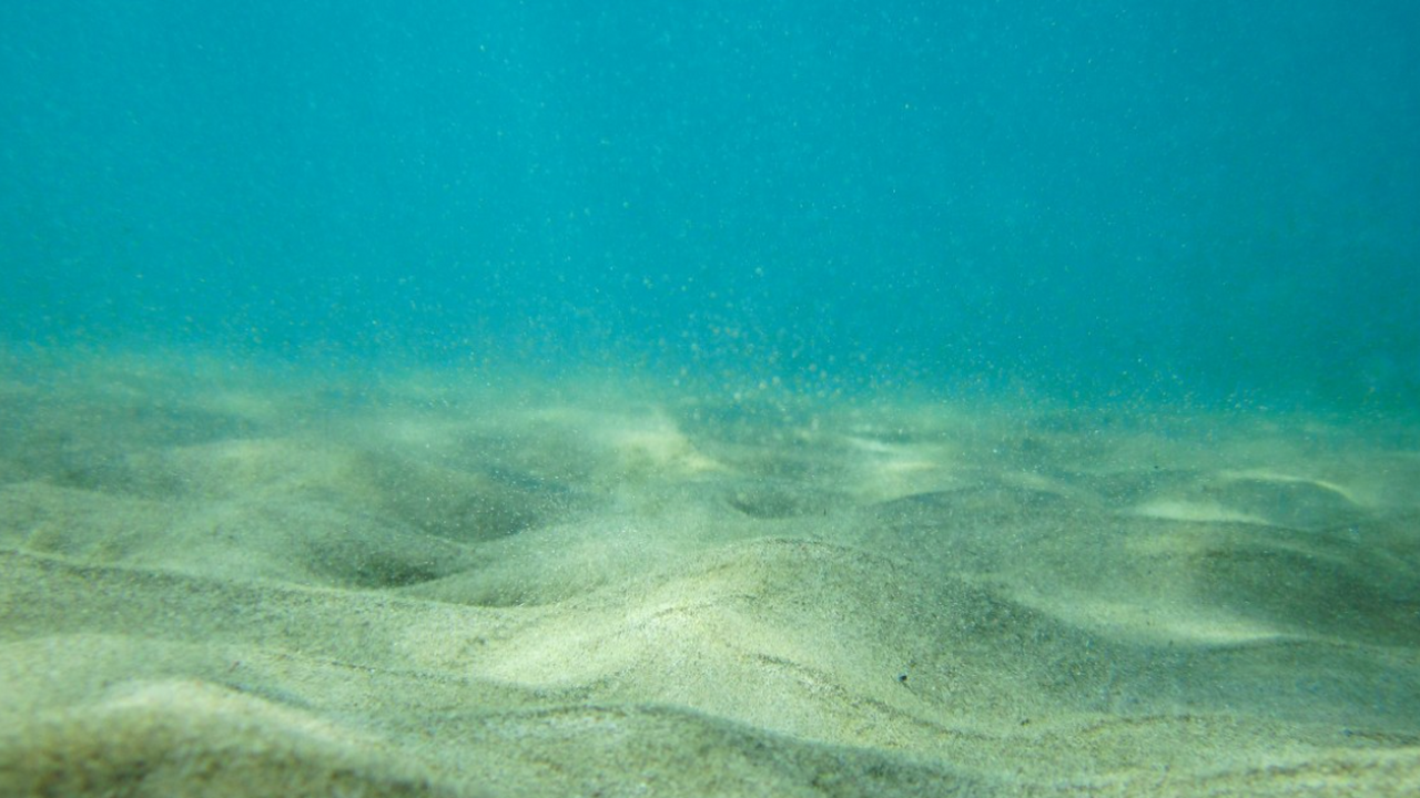 Ученые засняли на глубине океана от 7000 метров необычных существ Международная научная экспедиция совершила уник...