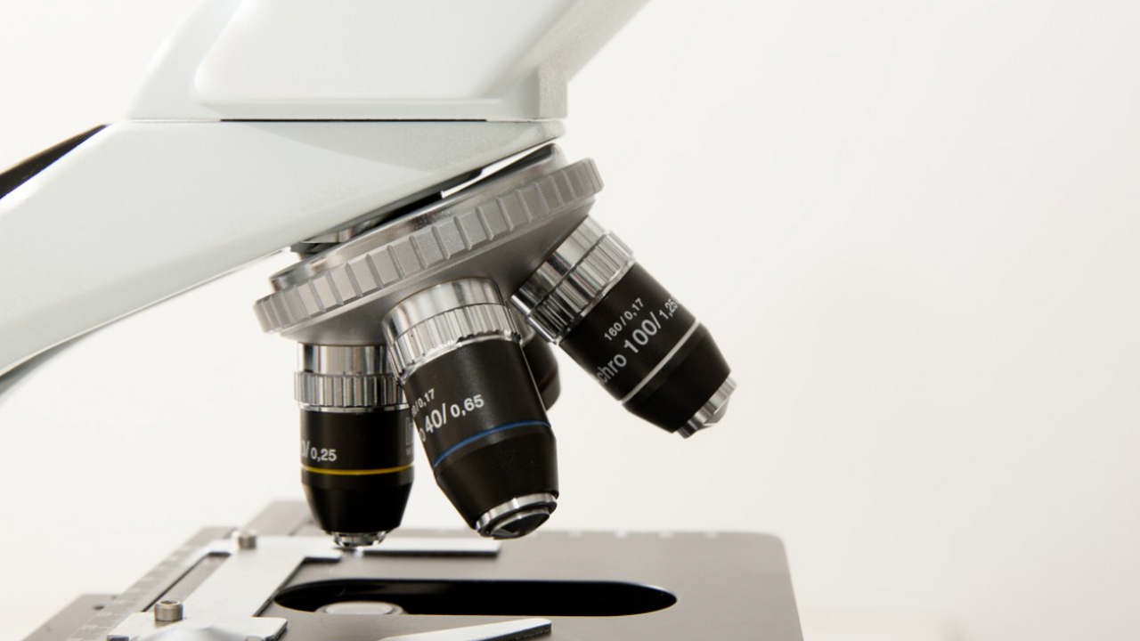 Ученые нашли безопасный способ оценивать устойчивость к гипоксии без барокамеры Исследователи разработали новый метод определен...