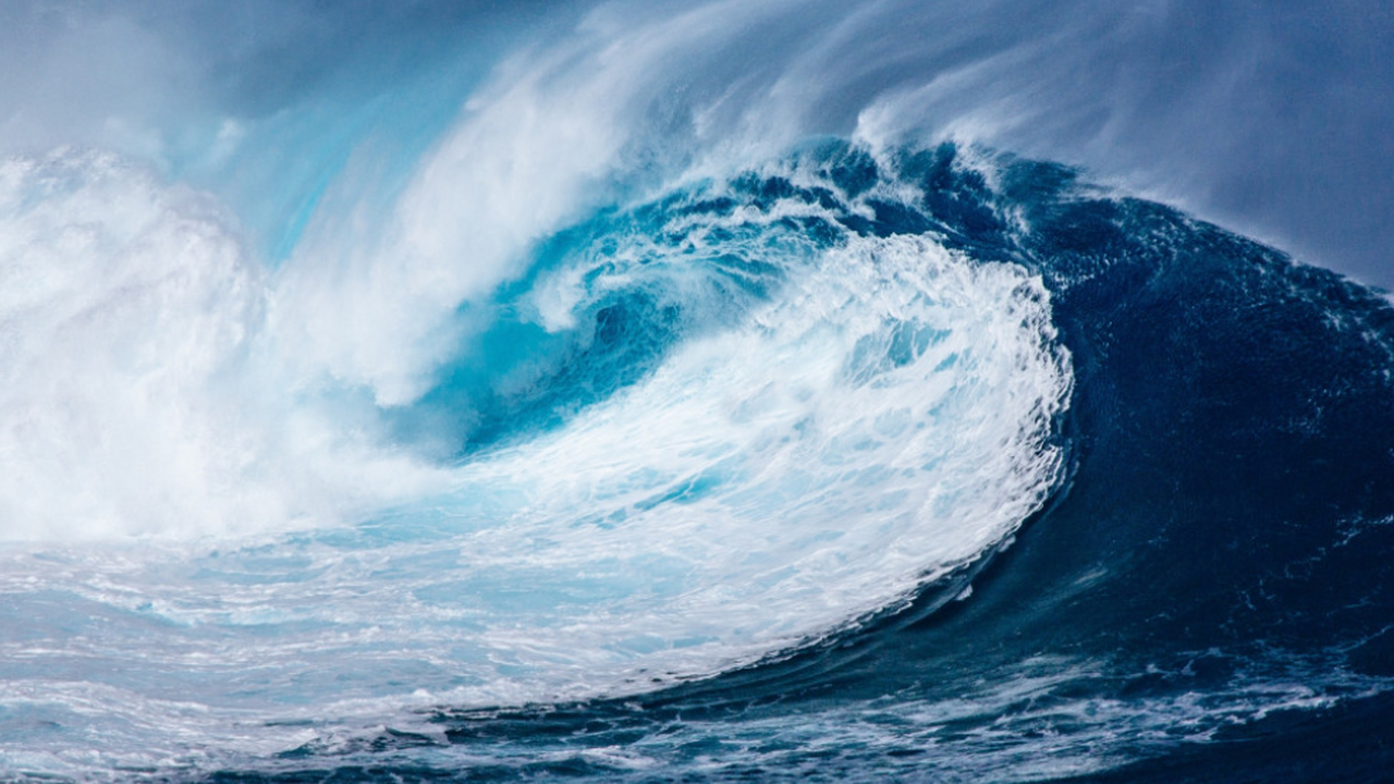 Ученые зафиксировали в Средиземном море рекордн...