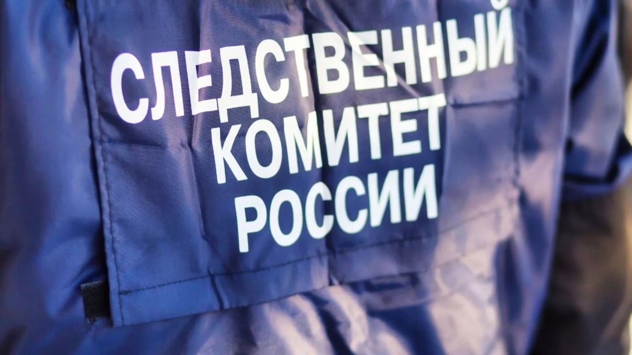 В Ульяновской области возбуждено уголовное дело...