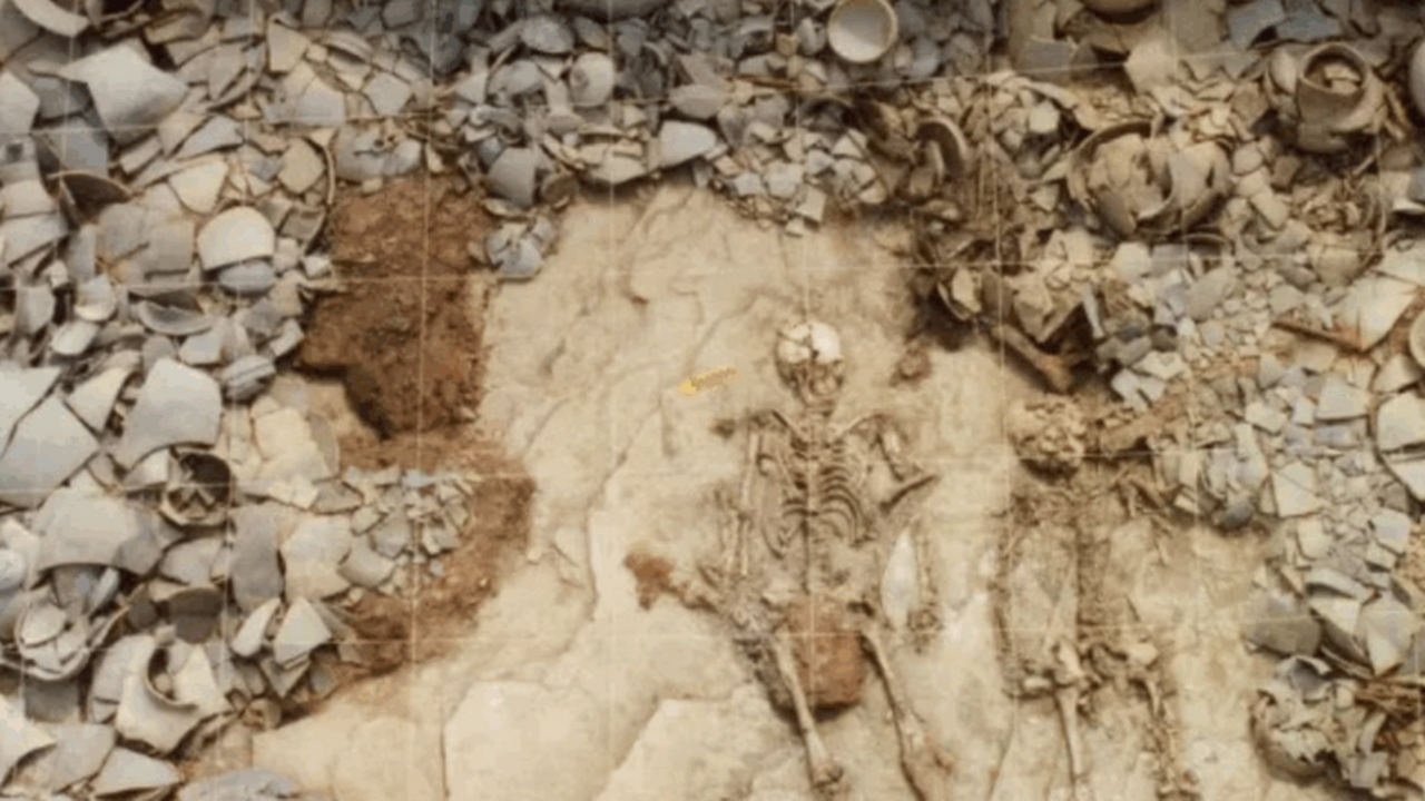 Международное генетическое исследование позволи...