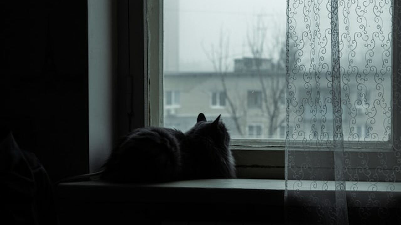 Астрологи выделяют ряд знаков зодиака, представ...