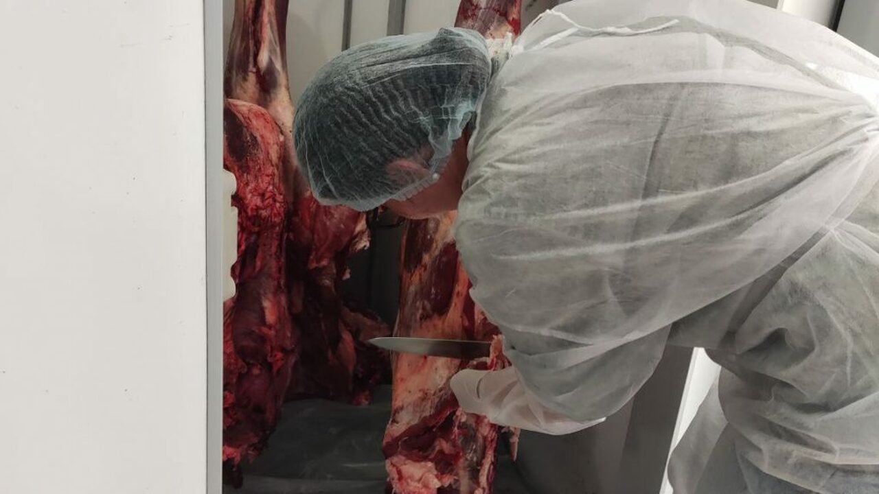 Специалисты Агентства ветеринарии Ульяновской о...