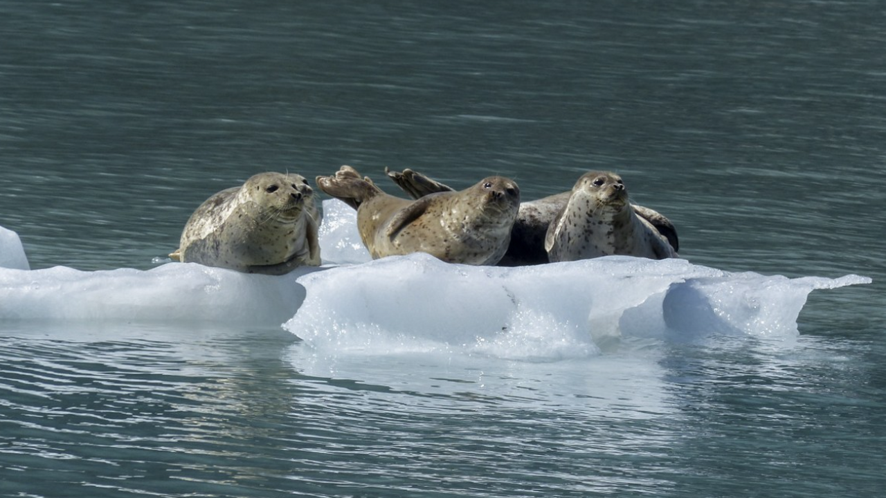 Ученые впервые подробно описали уникальный случ...