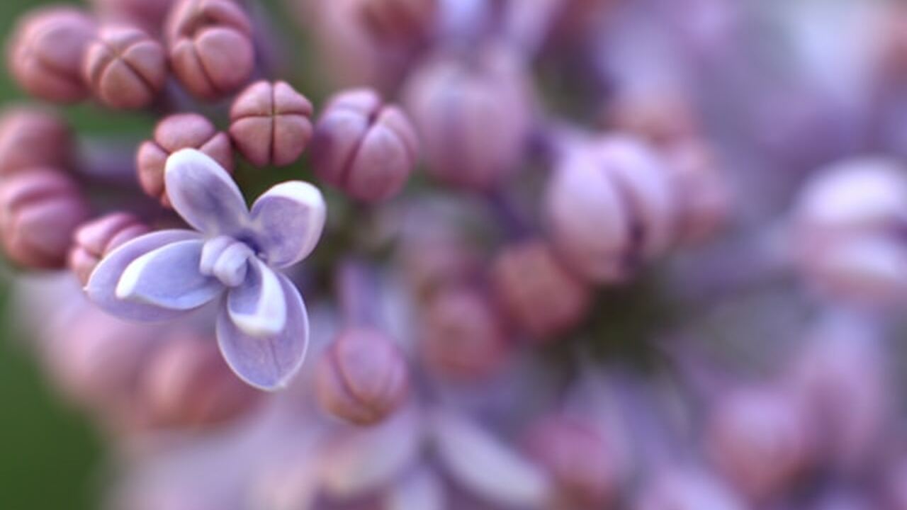 Метеорологи предупредили о нестабильной погоде ...