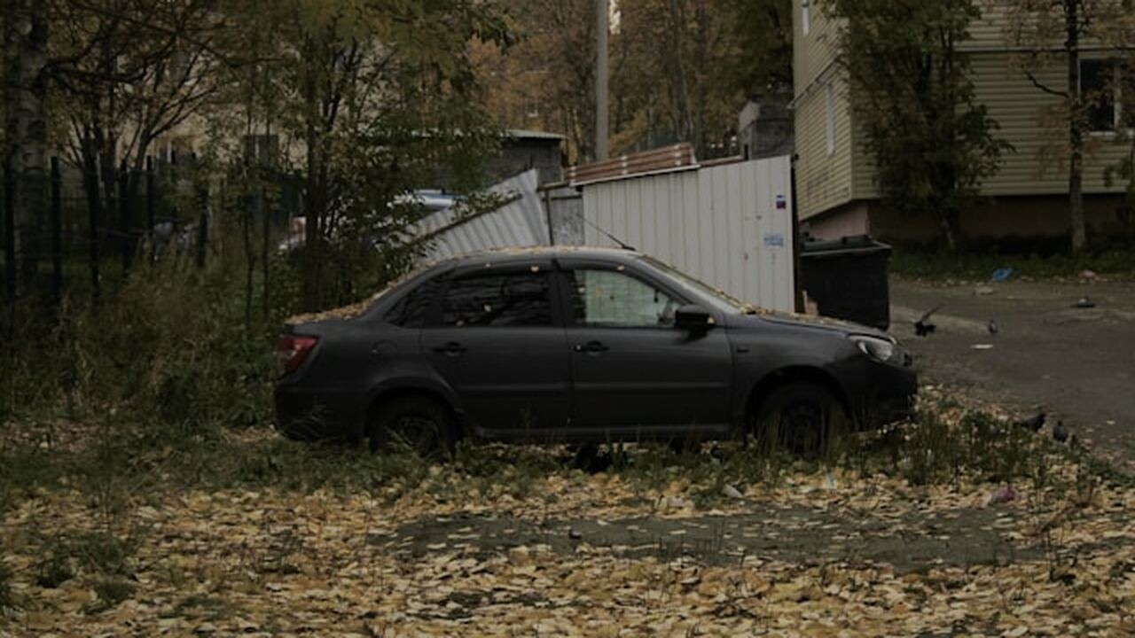 Несмотря на эскалацию конфликта в регионе, Улья...