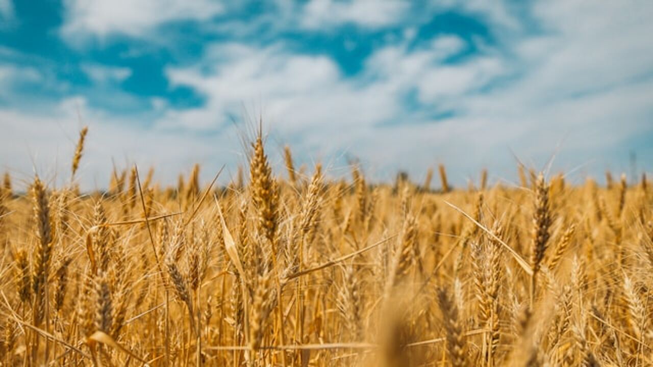 В Ульяновской области выявлены серьезные расхож...