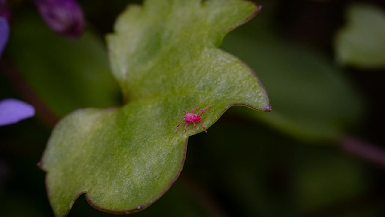 С наступлением теплой погоды возрастает активно...