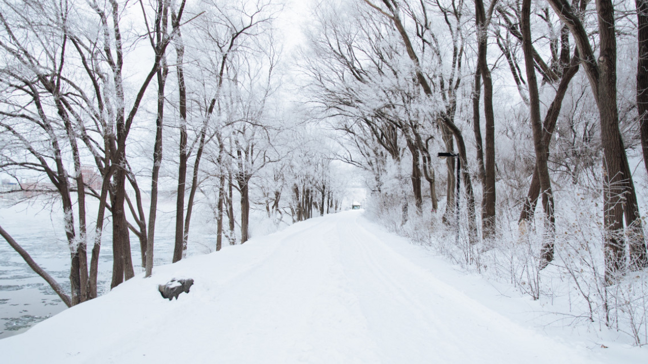 Служба «Коперник» сообщила, что январь 2026 год...