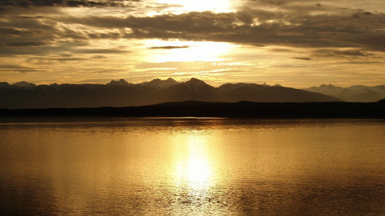 В морских глубинах у берегов Аляски найдена таи...