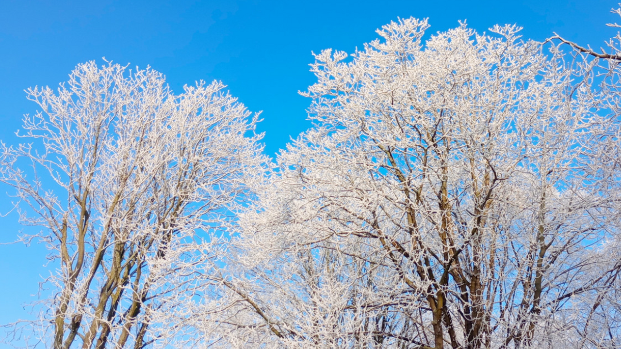 С завидной регулярностью осень в России переход...