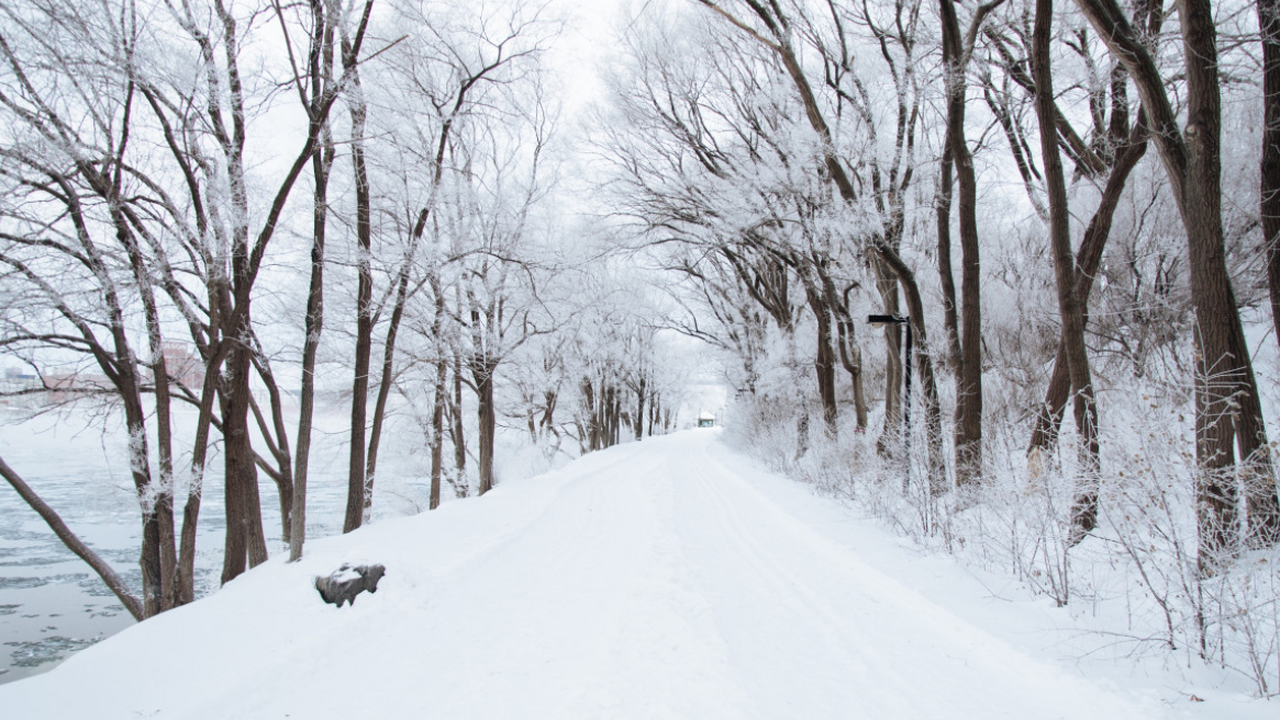 Экстренный прогноз: мощная волна холода накроет Россию с 11 декабря Новые метеоданные заставили синоптиков кардинал...