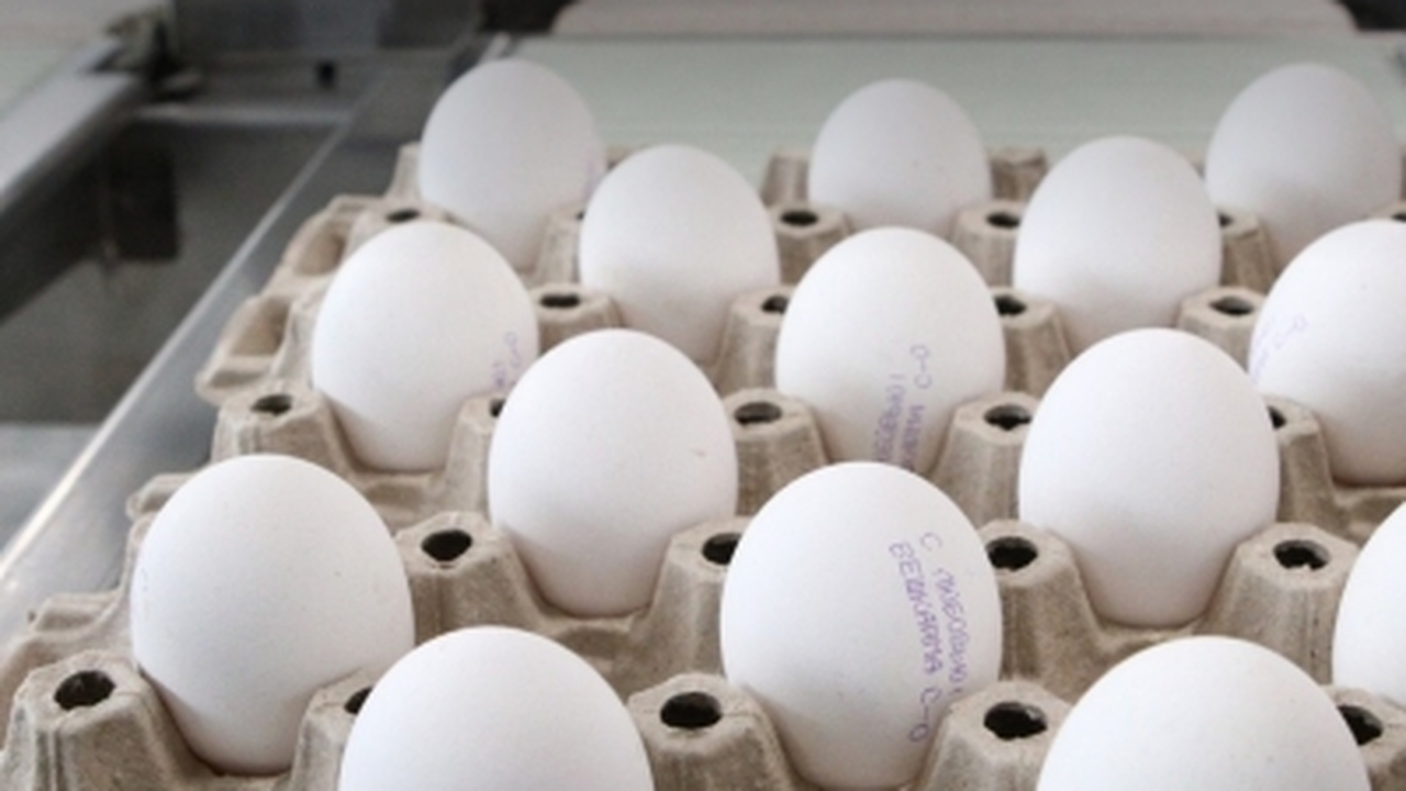 Об этом сообщили в региональном министерстве се...